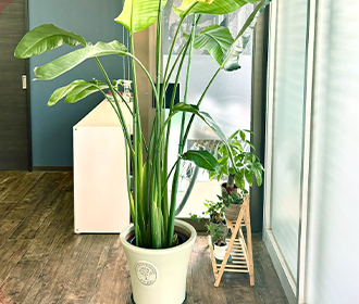 三起エステートとは